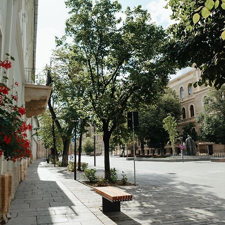 Contessa Central Studio Cluj-Napoca Exteriör bild