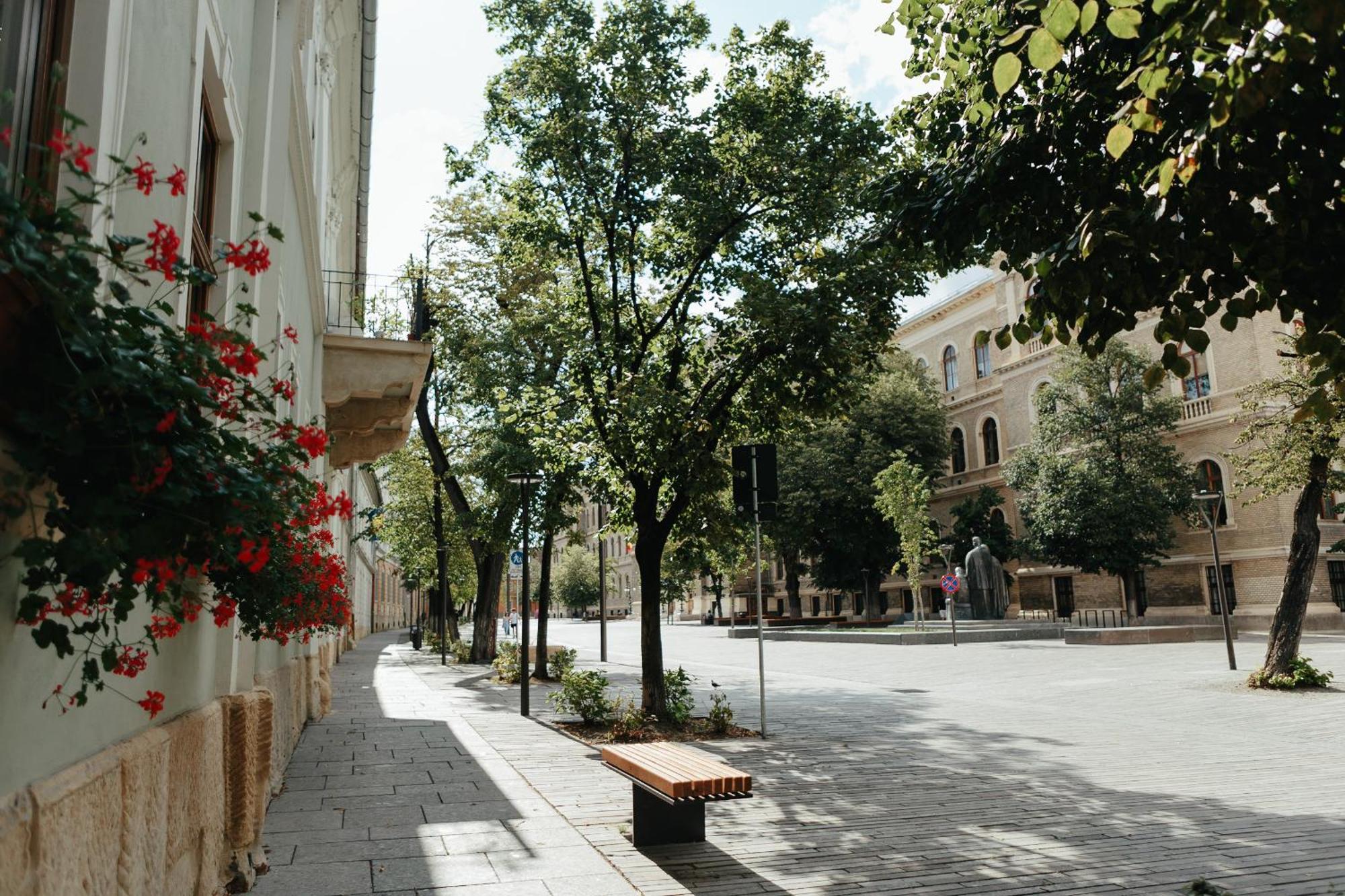 Contessa Central Studio Cluj-Napoca Exteriör bild